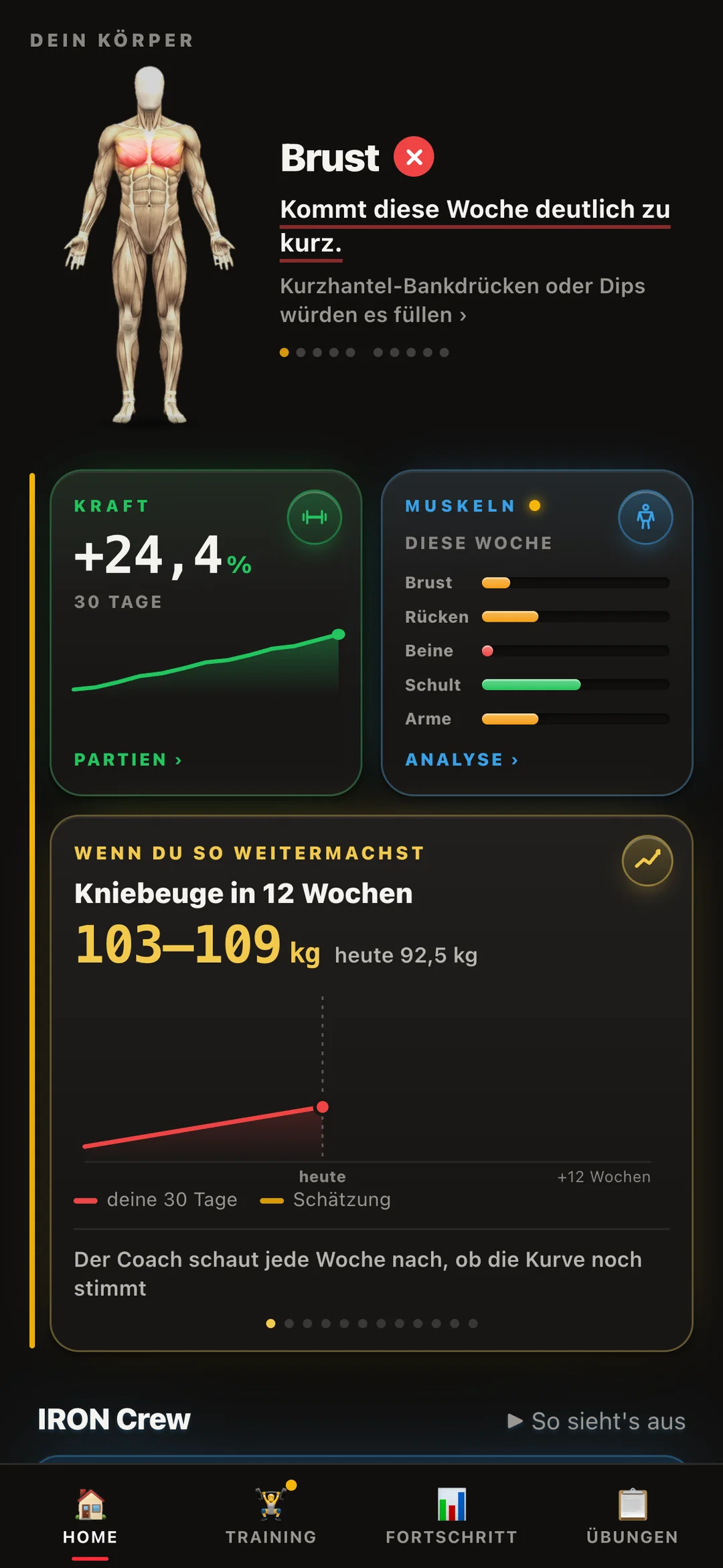 Körper mit Muskel-Übersicht